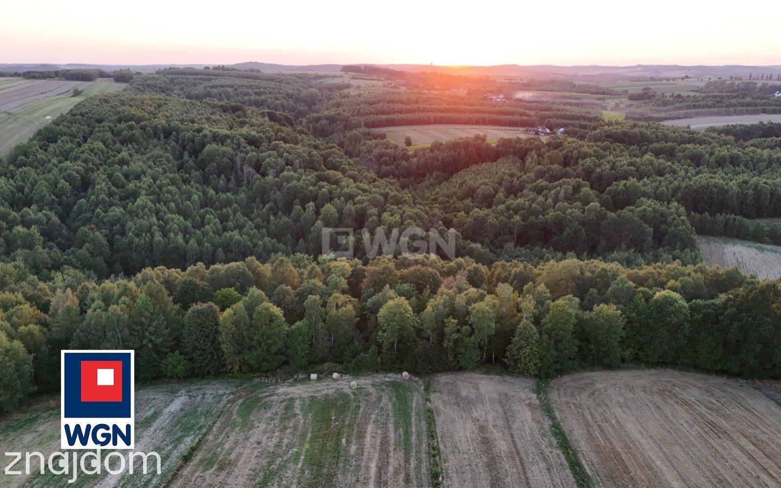 Działka na sprzedaż Antolka - zdjęcie 1