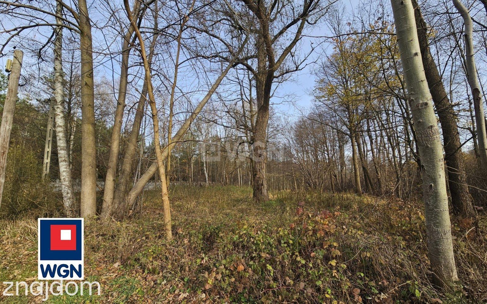 Działka na sprzedaż Nowa Kuźnica - zdjęcie 8