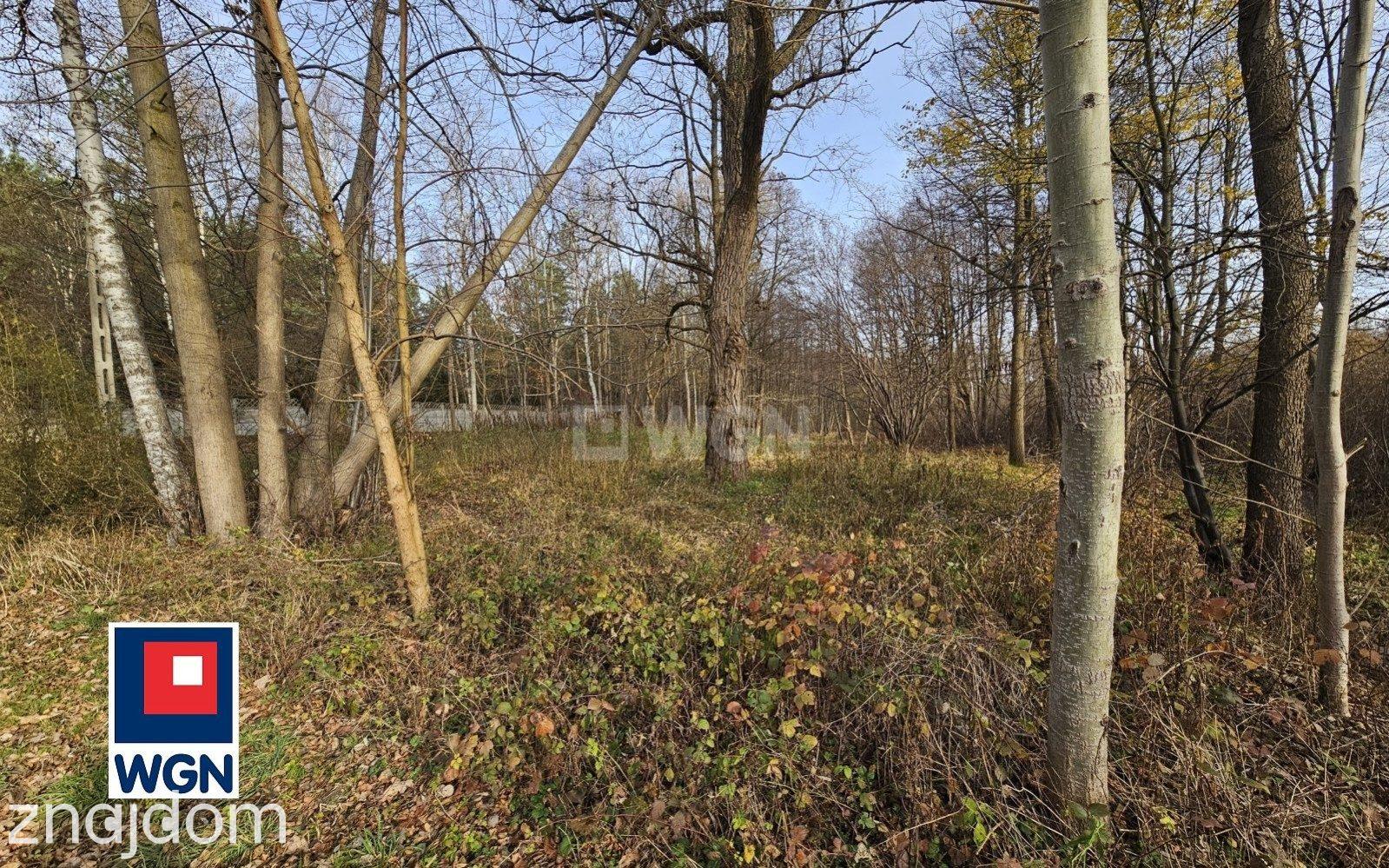 Działka na sprzedaż Nowa Kuźnica - zdjęcie 7