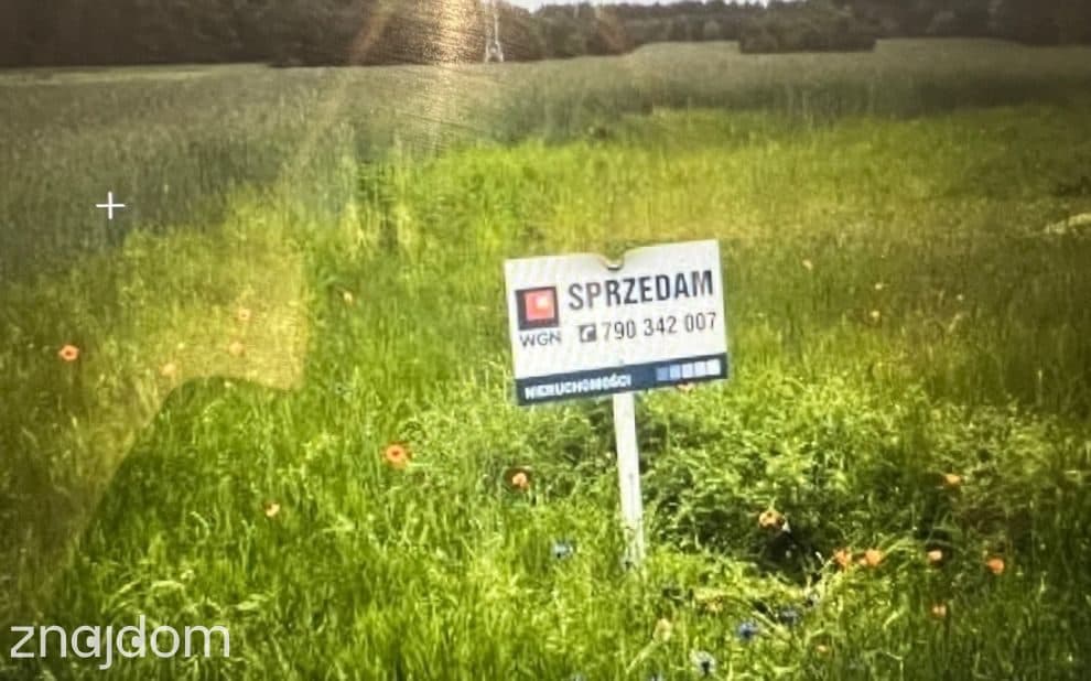 Działka na sprzedaż Zalesiaki Pienki - zdjęcie 3