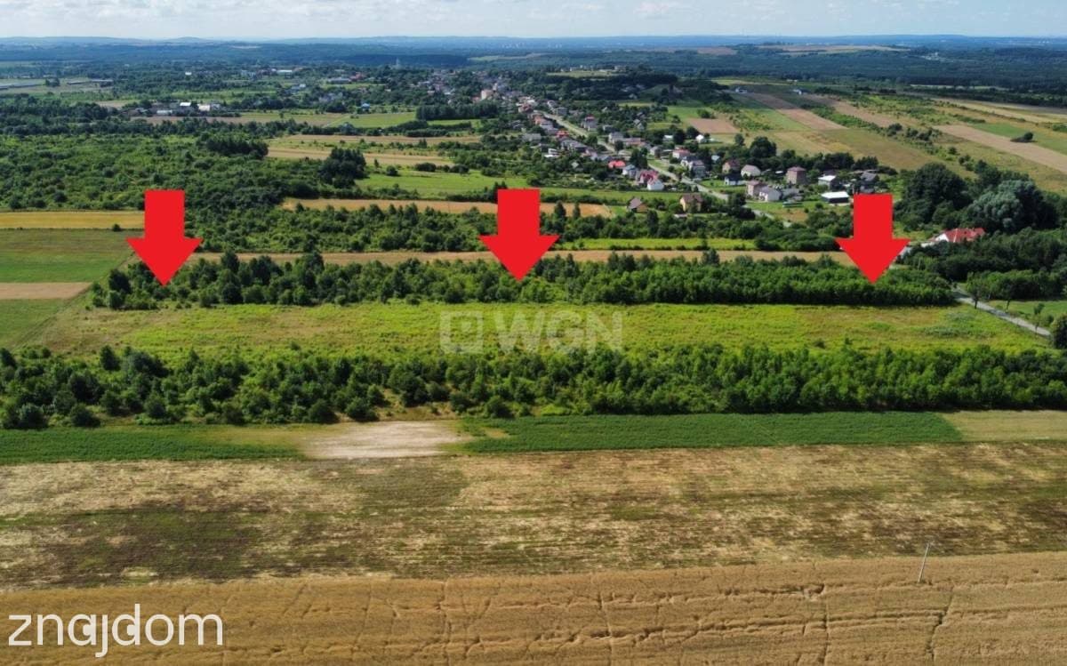 Działka na sprzedaż Włodowice - zdjęcie 2