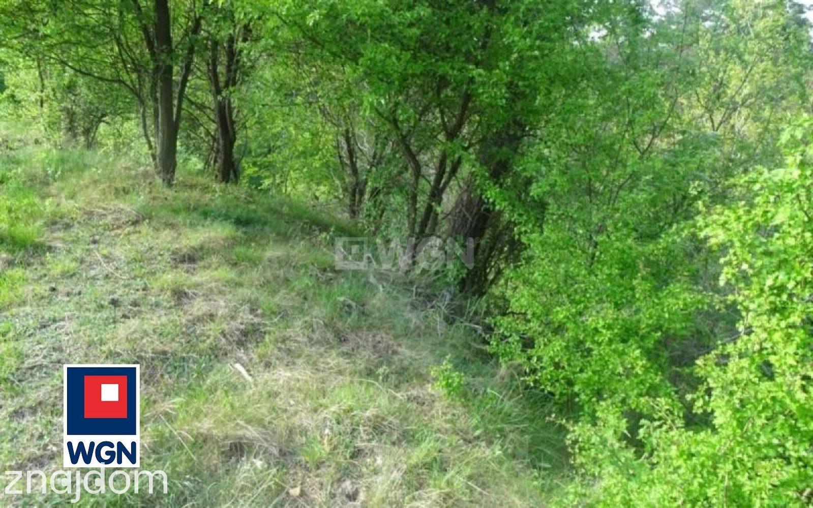 Grunt leśny na  sprzedaż Radoszki - NOWA,NIŻSZA CENA.BLISKO JEZIORA.