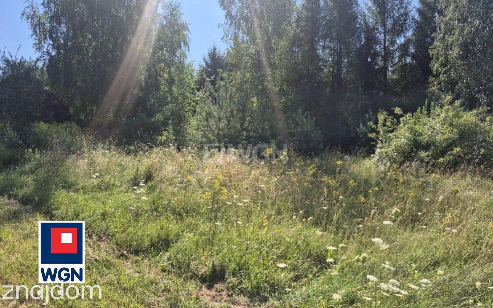 Działka na sprzedaż Suliszowice - zdjęcie 4