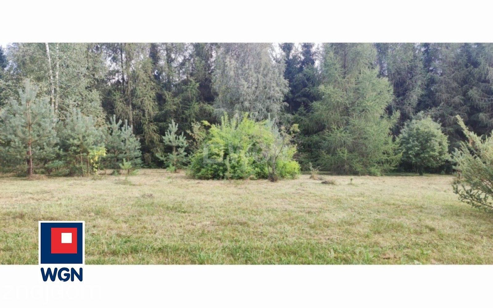Działka na sprzedaż Suliszowice - zdjęcie 10