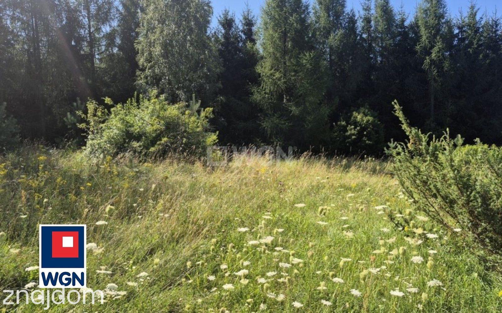 Działka na sprzedaż Suliszowice - zdjęcie 5