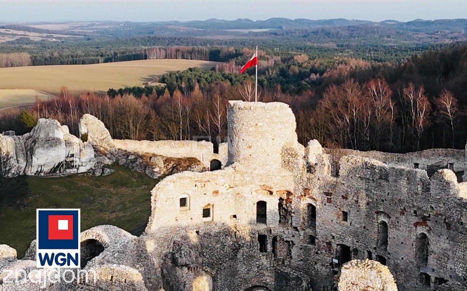 Grunt budowlany jednorodzinny na sprzedaż Postęp - Piękna działka budowlana w Postepie - zdjęcie 2