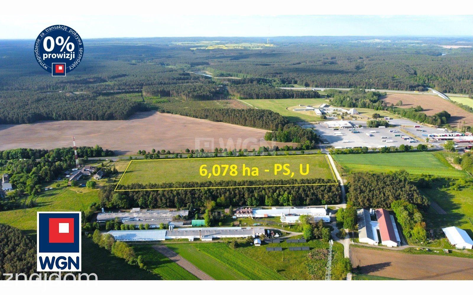 Grunt aktywizacja gospodarcza na sprzedaż Poźrzadło - Działka inwestycyjna - zdjęcie 2
