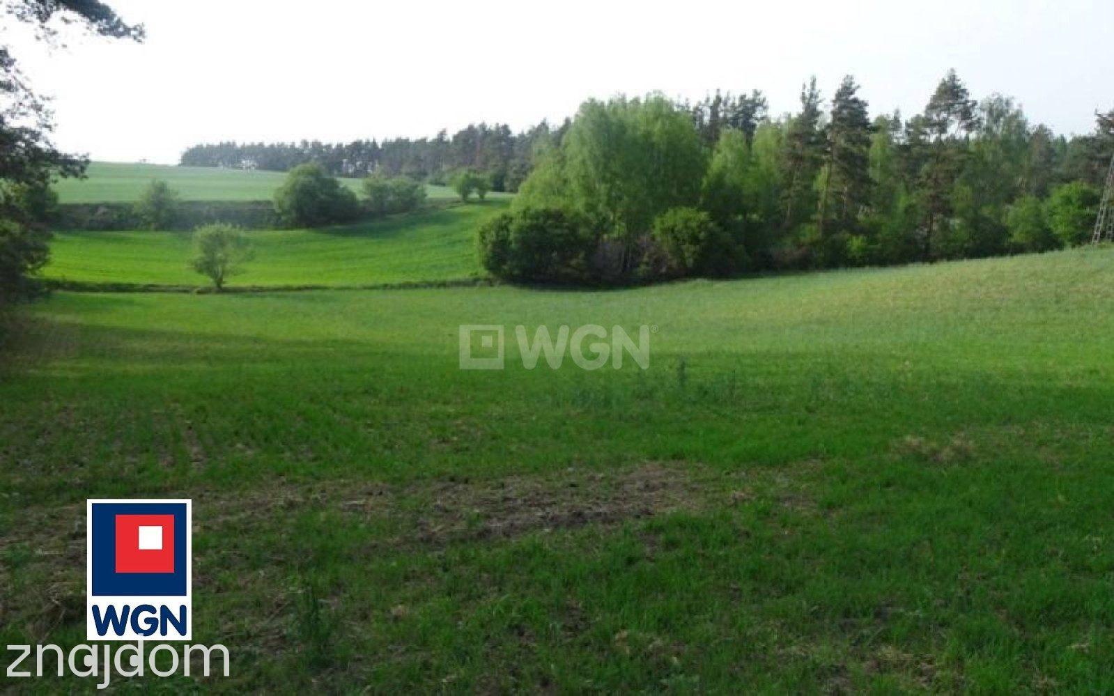 Grunt leśny na  sprzedaż Radoszki - NOWA,NIŻSZA CENA.w pobliżu jeziora. - zdjęcie 6