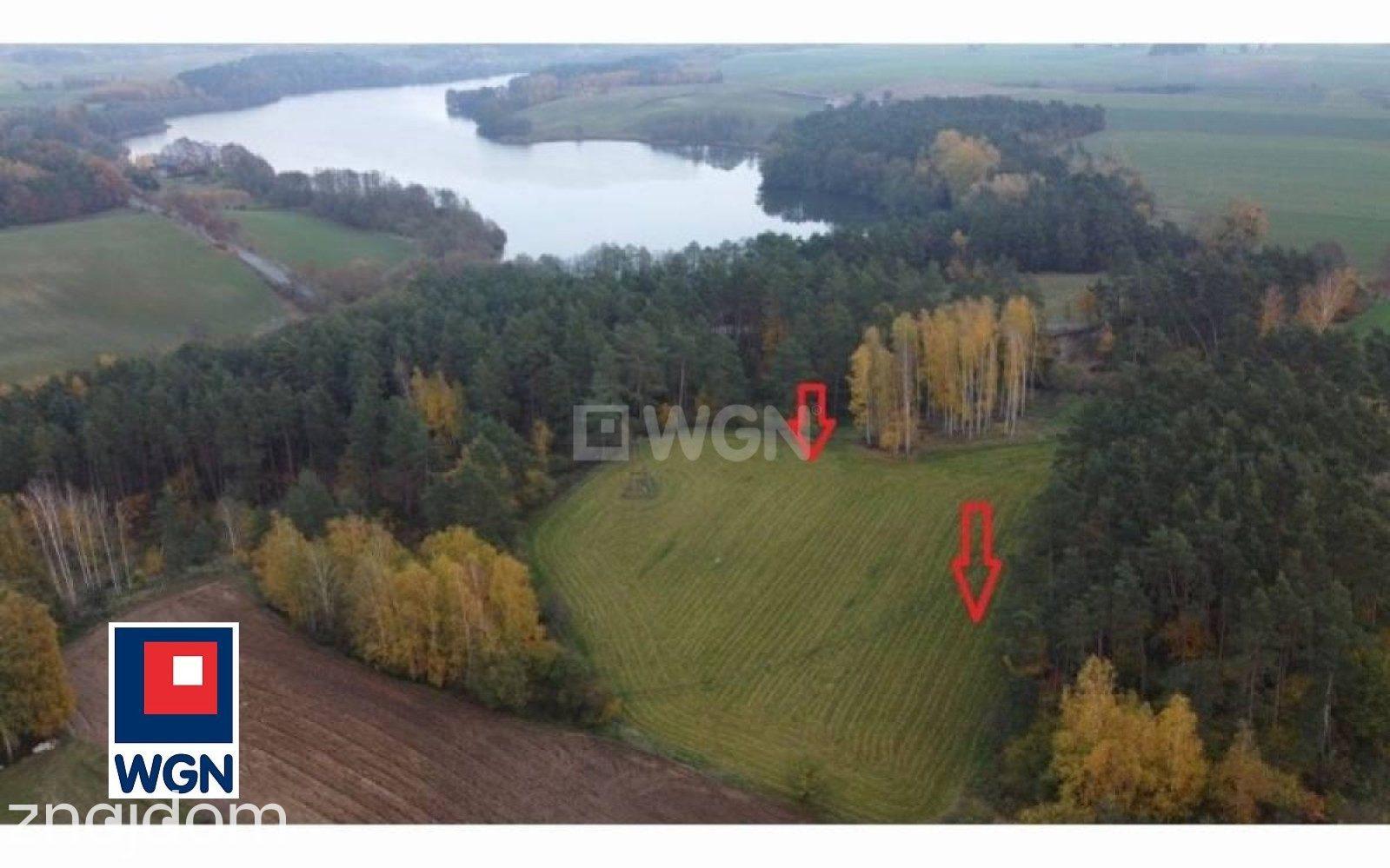 Grunt leśny na  sprzedaż Radoszki - NOWA,NIŻSZA CENA.w pobliżu jeziora. - zdjęcie 5
