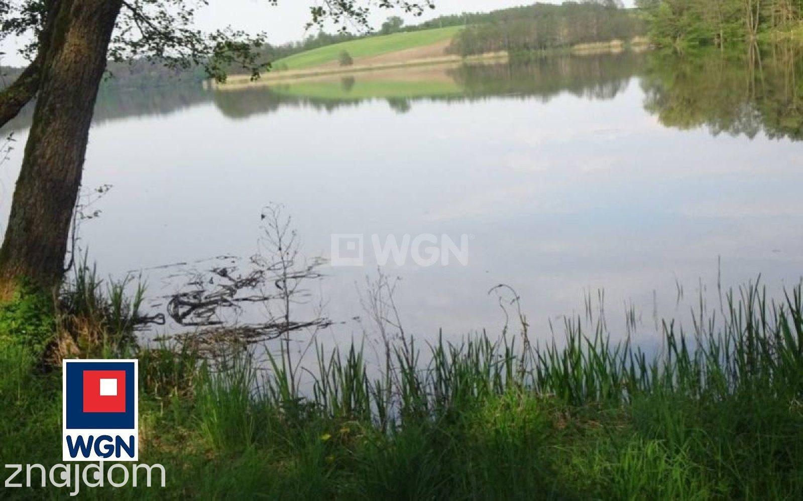 Grunt leśny na  sprzedaż Radoszki - NOWA,NIŻSZA CENA.w pobliżu jeziora. - zdjęcie 14