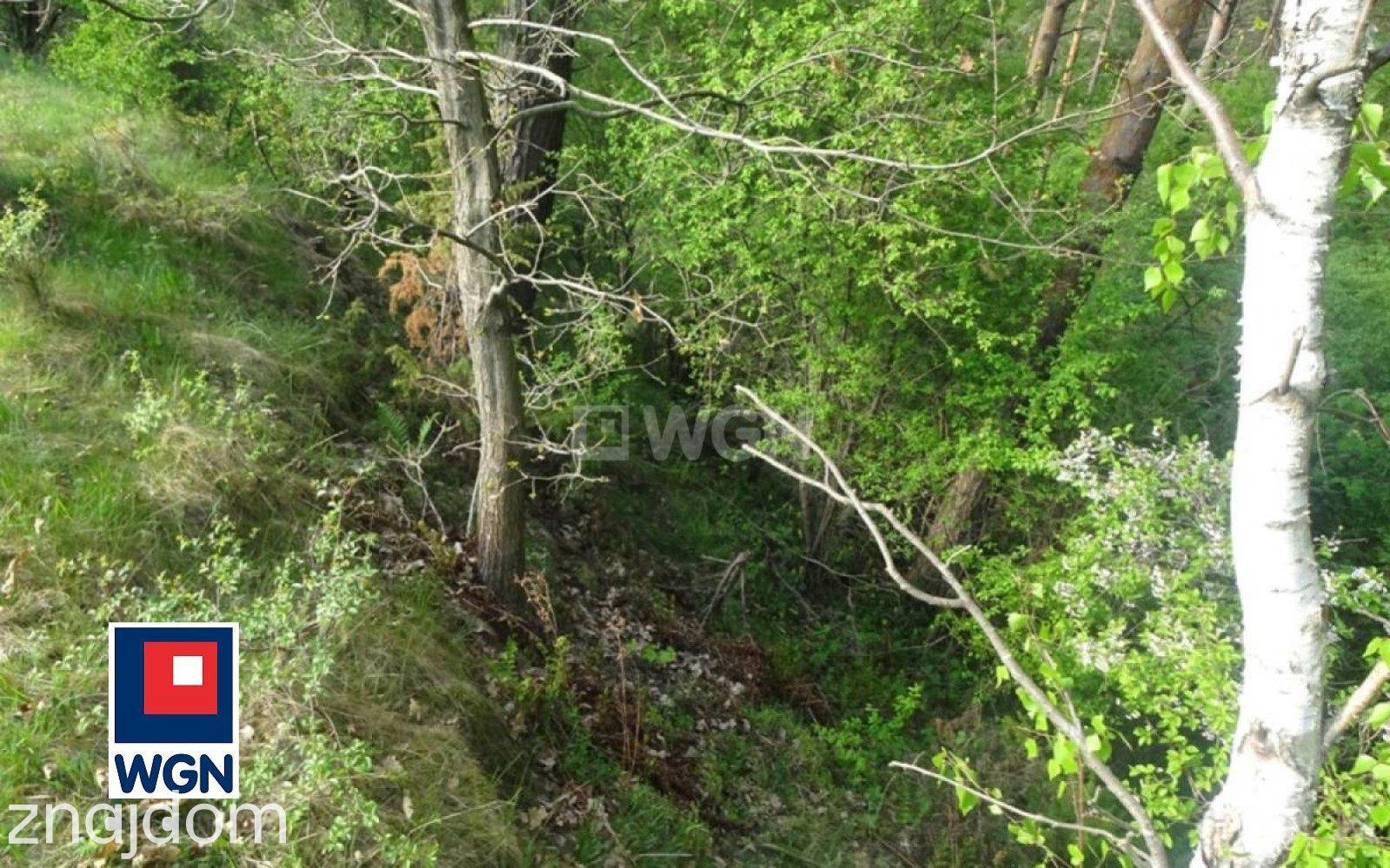 Grunt leśny na  sprzedaż Radoszki - NOWA,NIŻSZA CENA.w pobliżu jeziora. - zdjęcie 12