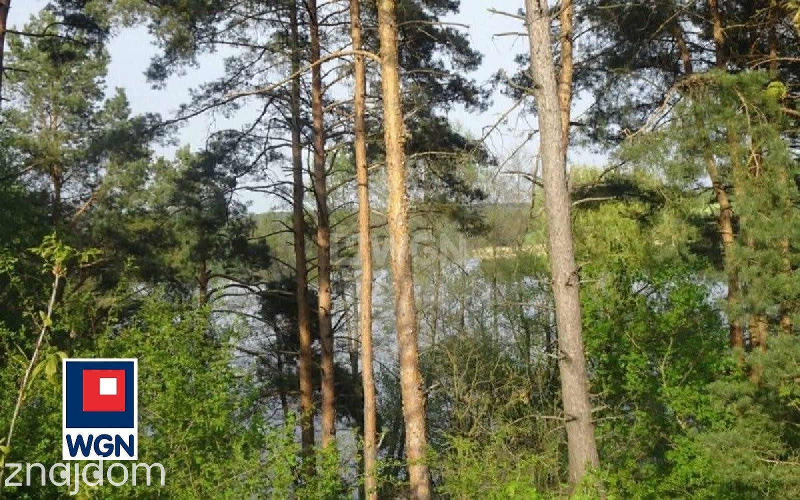 Grunt leśny na  sprzedaż Radoszki - NOWA,NIŻSZA CENA.w pobliżu jeziora. - zdjęcie 9
