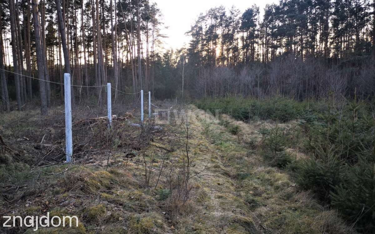 Działka na sprzedaż Żaganiec - zdjęcie 3