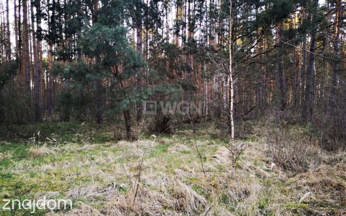 Działka na sprzedaż Żaganiec - zdjęcie 2