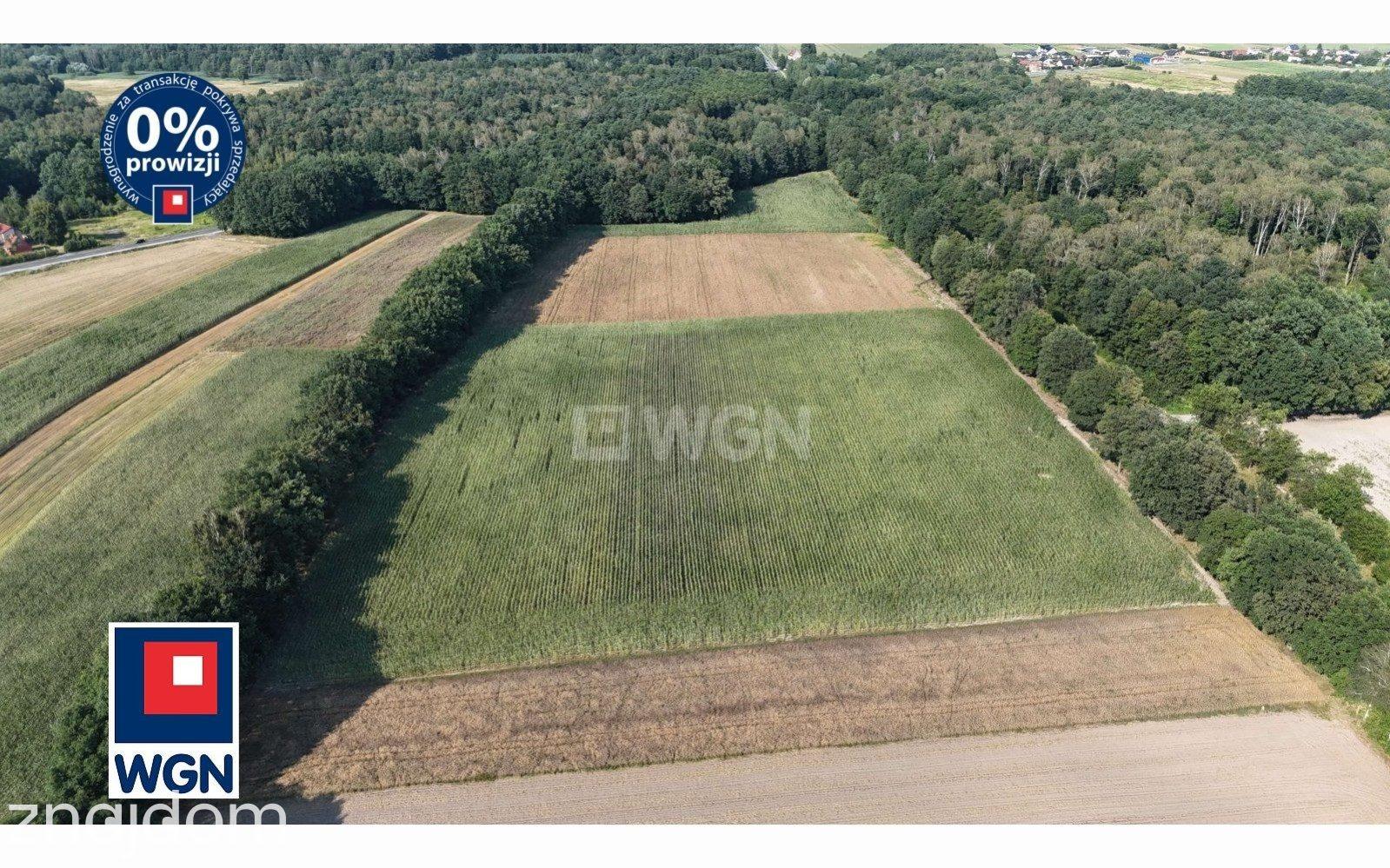 Grunt aktywizacja gospodarcza na sprzedaż Wilcza - Teren inwestycyjny 1U 3,34 ha na sprzedaż Wilcza. - zdjęcie 3
