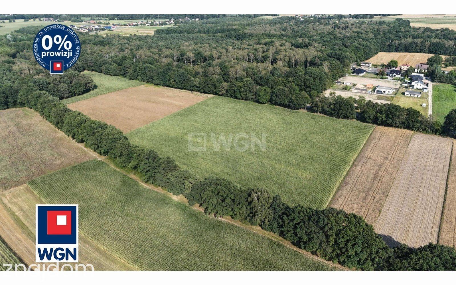 Grunt aktywizacja gospodarcza na sprzedaż Wilcza - Teren inwestycyjny 1U 3,34 ha na sprzedaż Wilcza. - zdjęcie 2