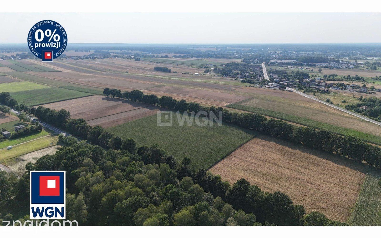 Grunt aktywizacja gospodarcza na sprzedaż Wilcza - Teren inwestycyjny 1U 3,34 ha na sprzedaż Wilcza. - zdjęcie 7