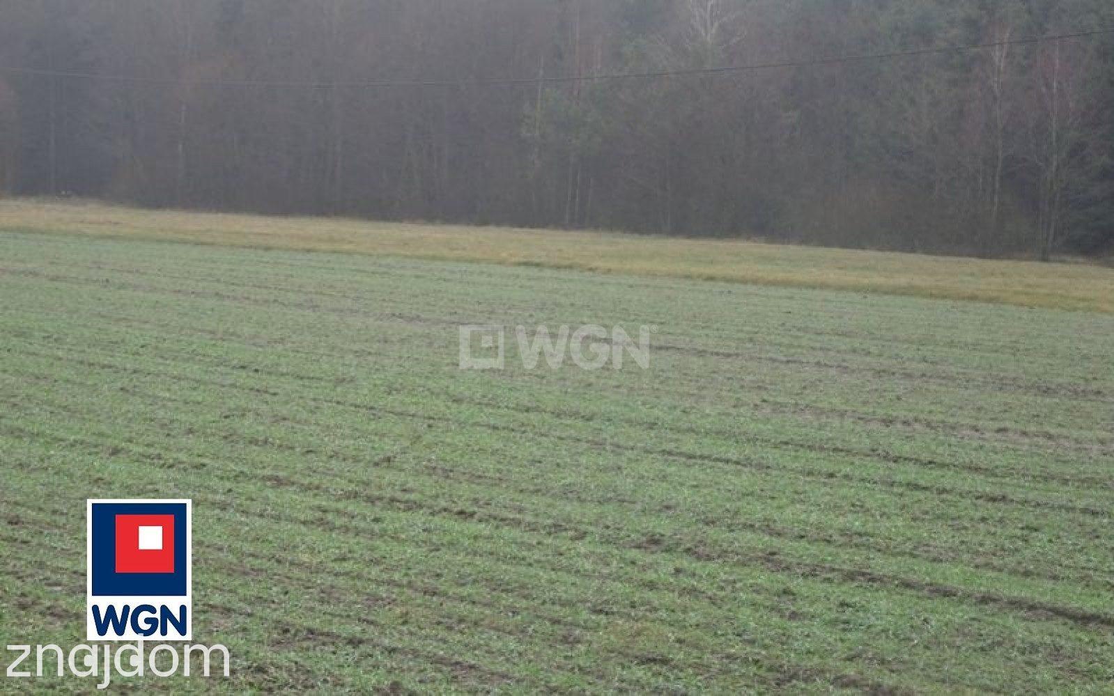 Grunt budowlany jednorodzinny na sprzedaż Rak - POD LASEM,BLISKO JEZIORA. - zdjęcie 2