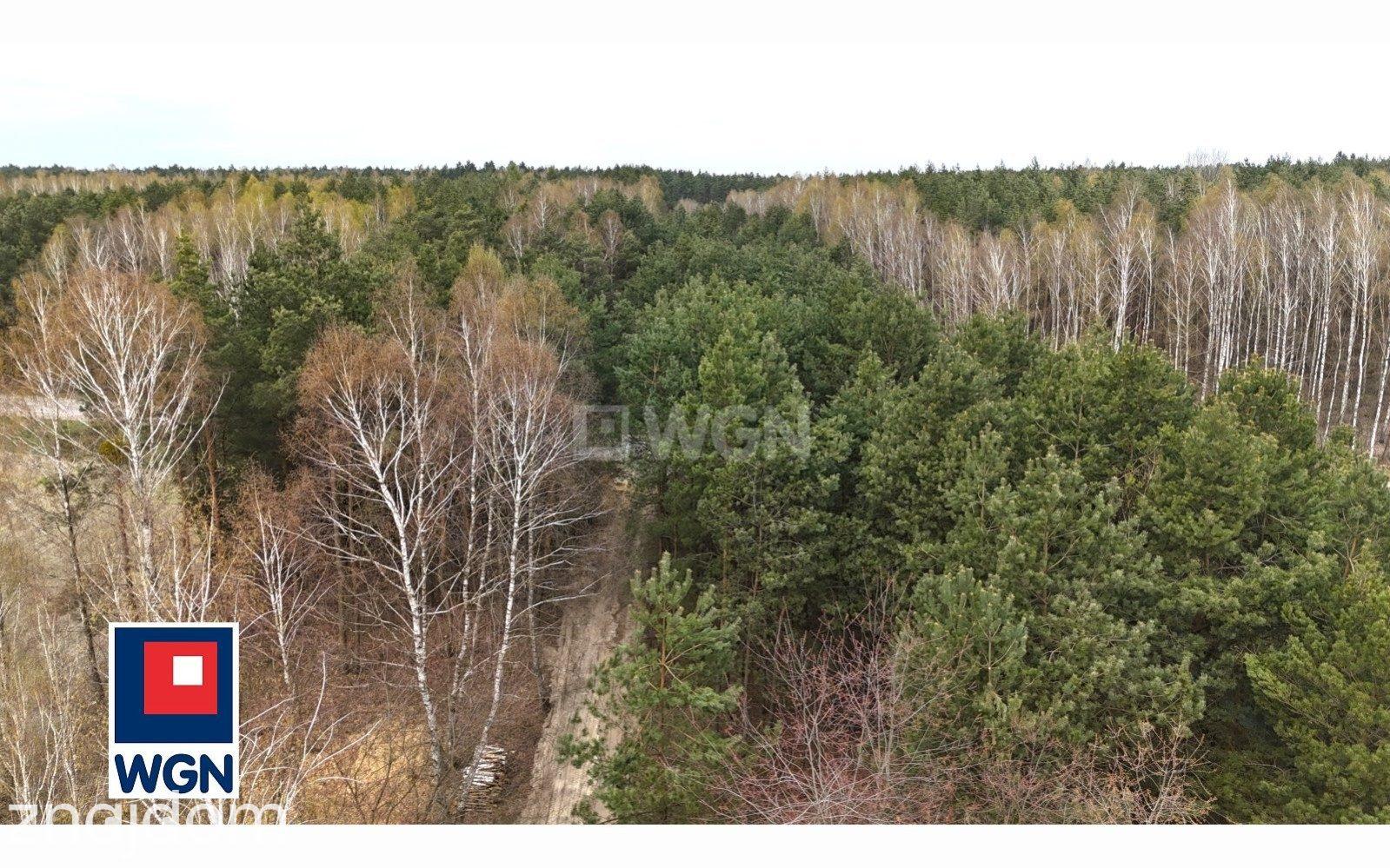 Dom na sprzedaż Adamowo - zdjęcie 2