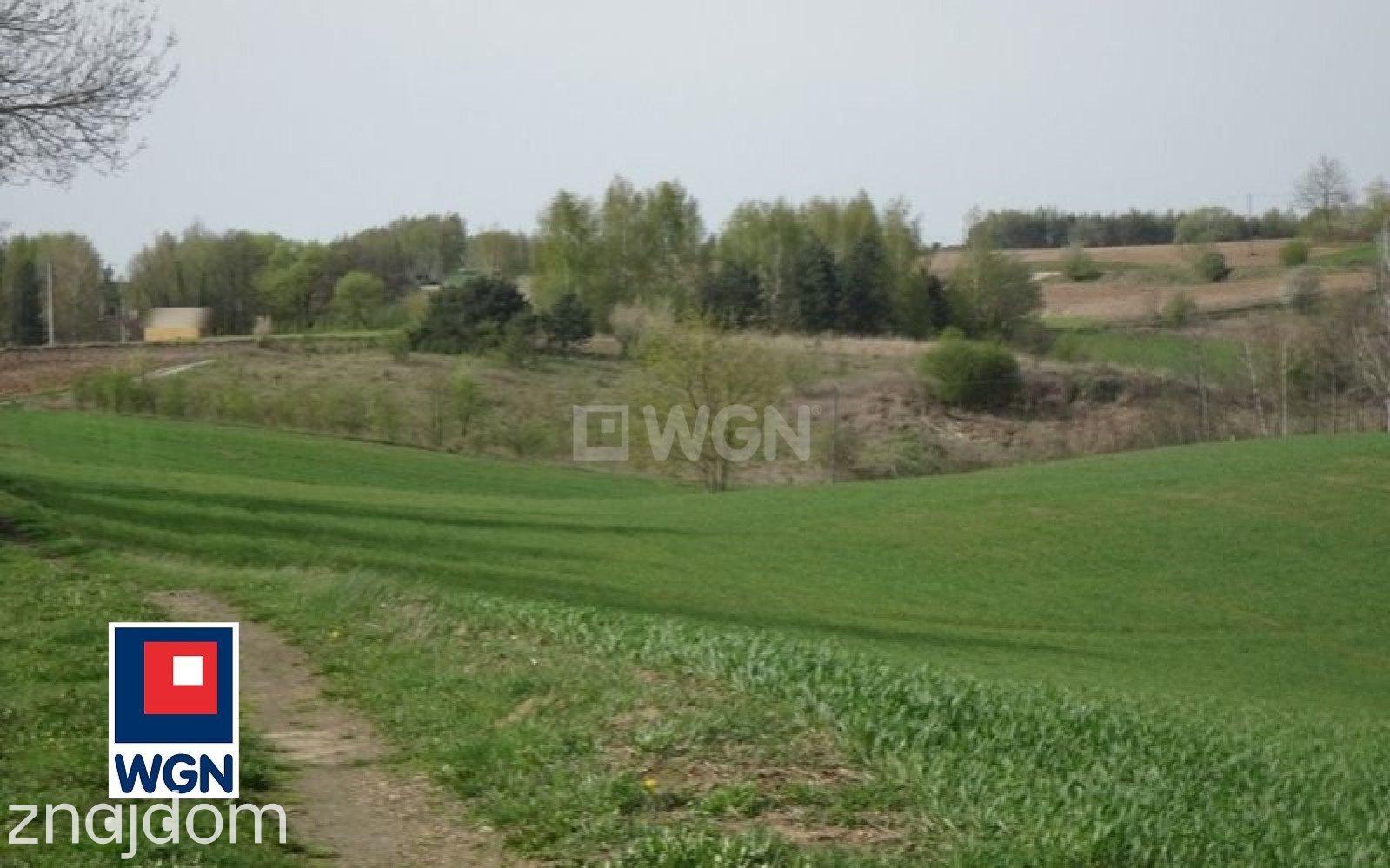 Grunt budowlany jednorodzinny na  sprzedaż Żałe - DZIAŁKI BLISKO JEZIORA.BUDOWLANE - zdjęcie 5