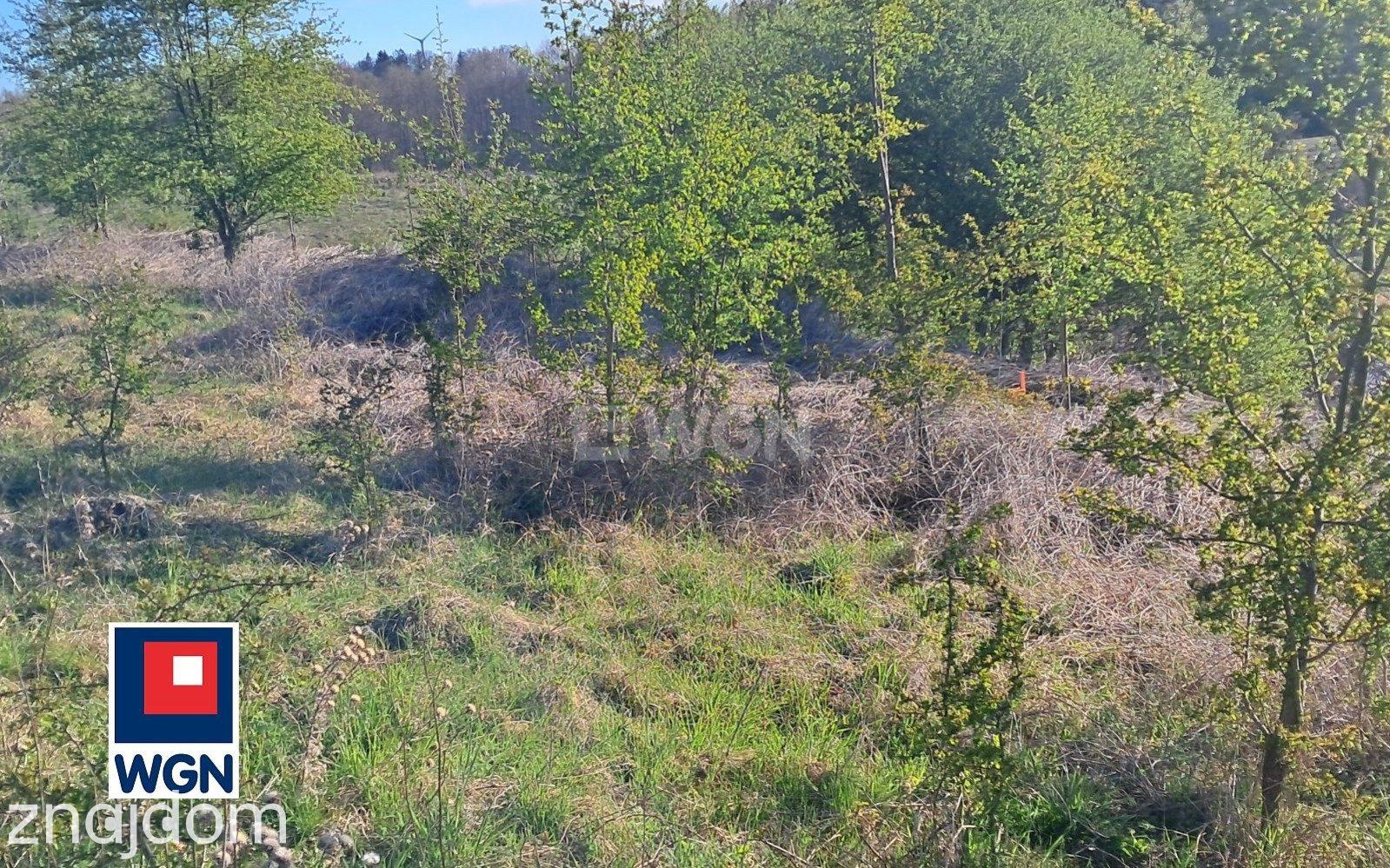 Grunt budowlany jednorodzinny na  sprzedaż Żałe - DZIAŁKI BLISKO JEZIORA.BUDOWLANE - zdjęcie 19