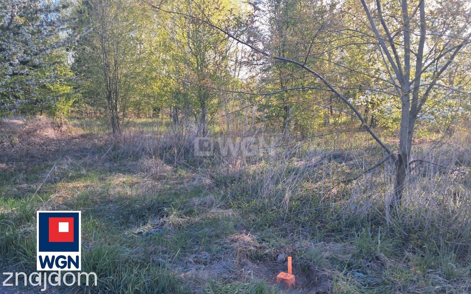 Grunt budowlany jednorodzinny na  sprzedaż Żałe - DZIAŁKI BLISKO JEZIORA.BUDOWLANE - zdjęcie 18