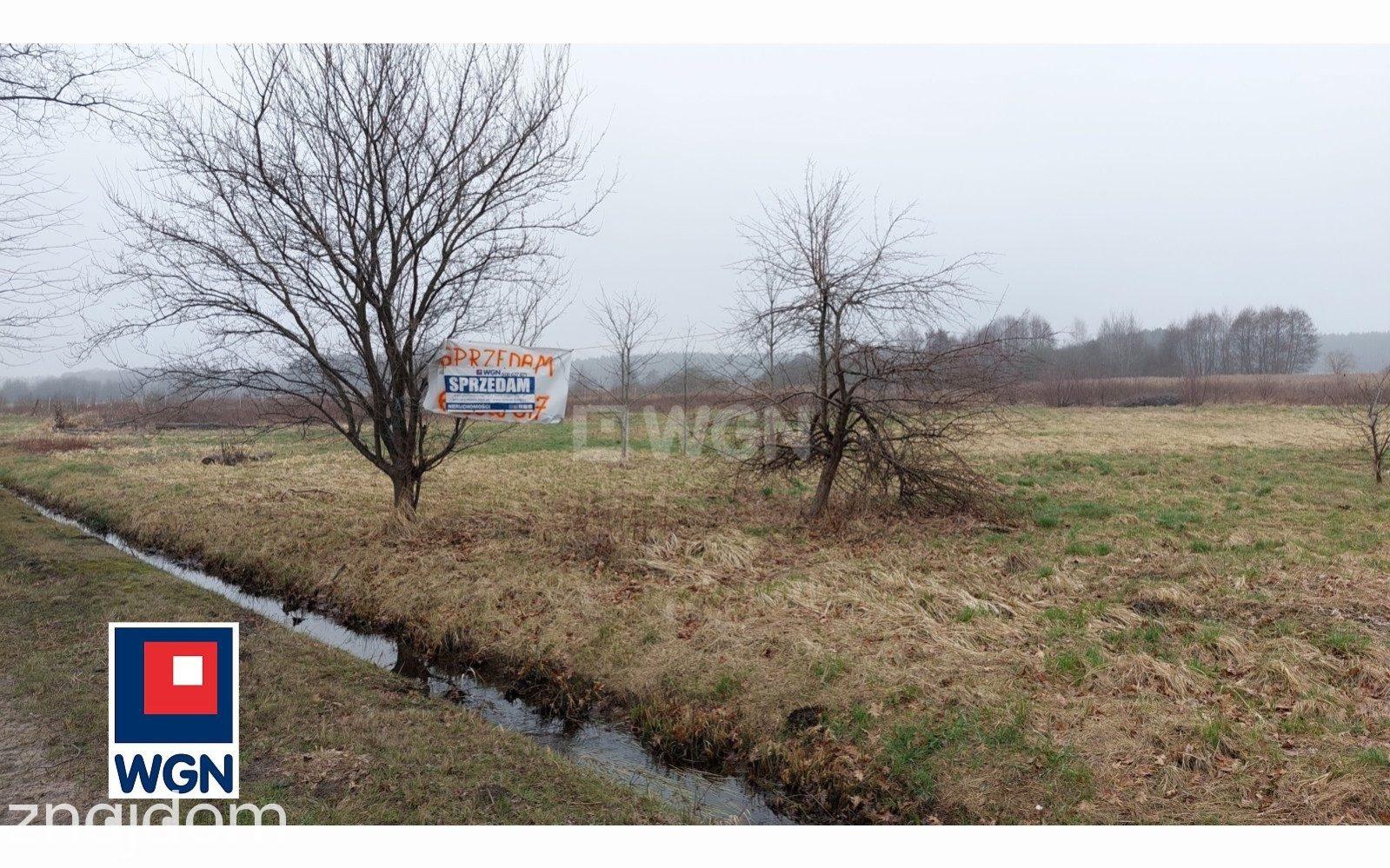 Działka na sprzedaż Czyżówek - zdjęcie 5