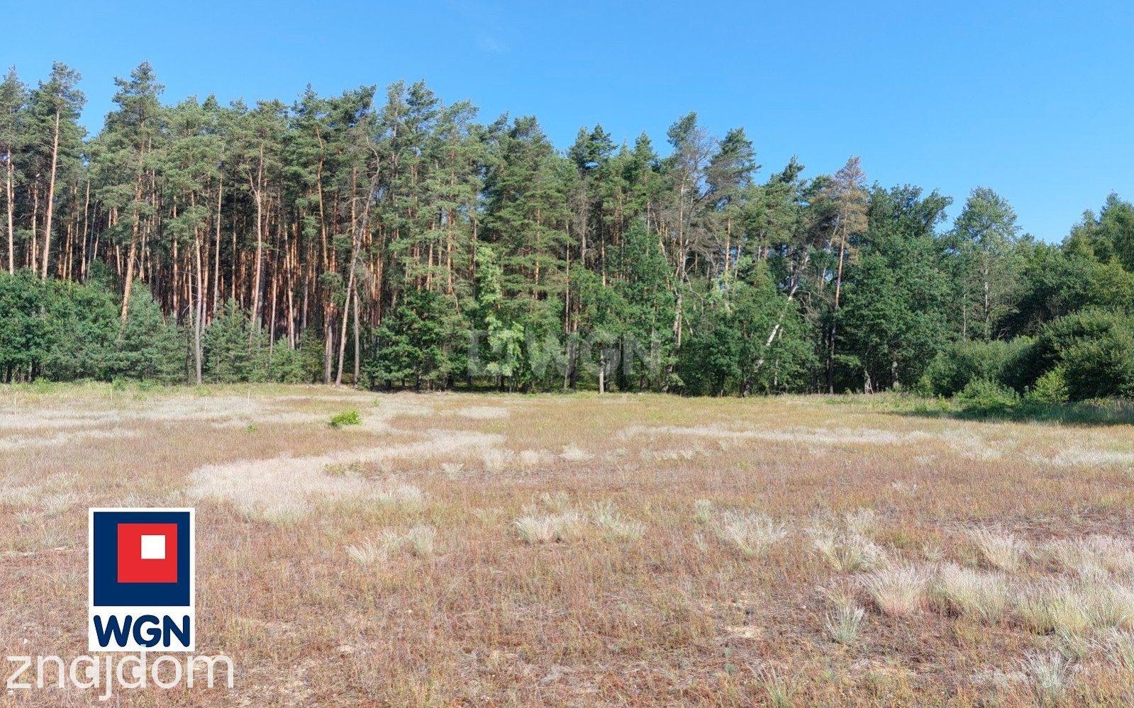 Działka na sprzedaż Bogaczów - zdjęcie 4
