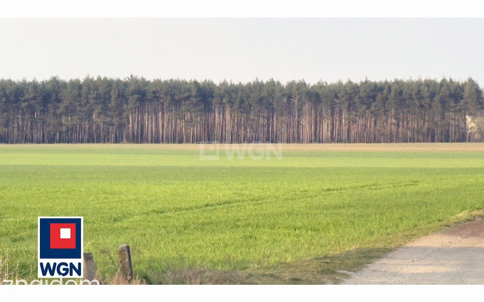 Dom na  sprzedaż Pokój, Zieleniec - 295 m2 w sercu Stobrawskiego Parku Krajobrazowego - zdjęcie 2