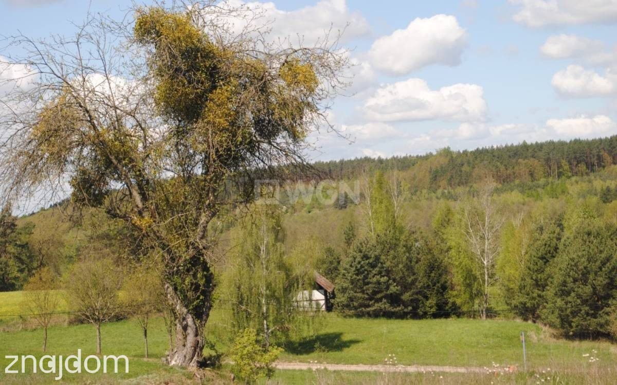 Działka na sprzedaż Gaj Grzmięca - zdjęcie 7