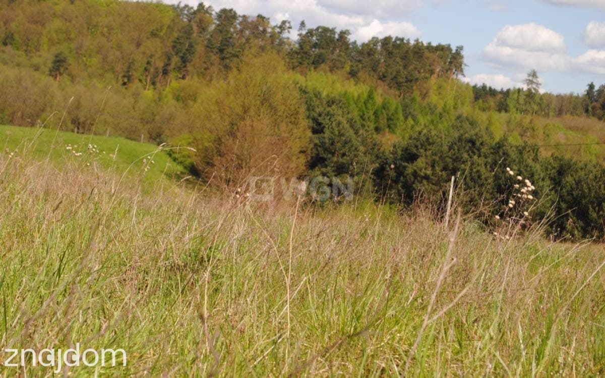 Działka na sprzedaż Gaj Grzmięca - zdjęcie 5