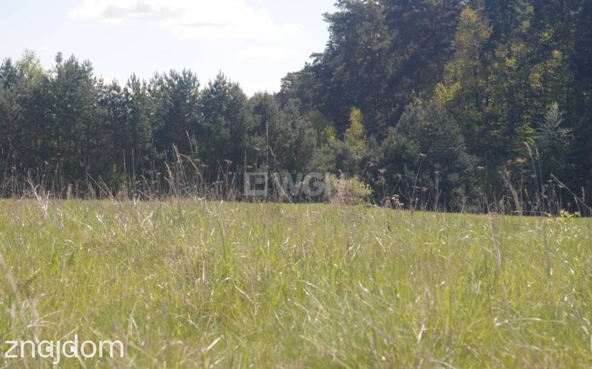 Działka na sprzedaż Gaj-Grzmięca - zdjęcie 5