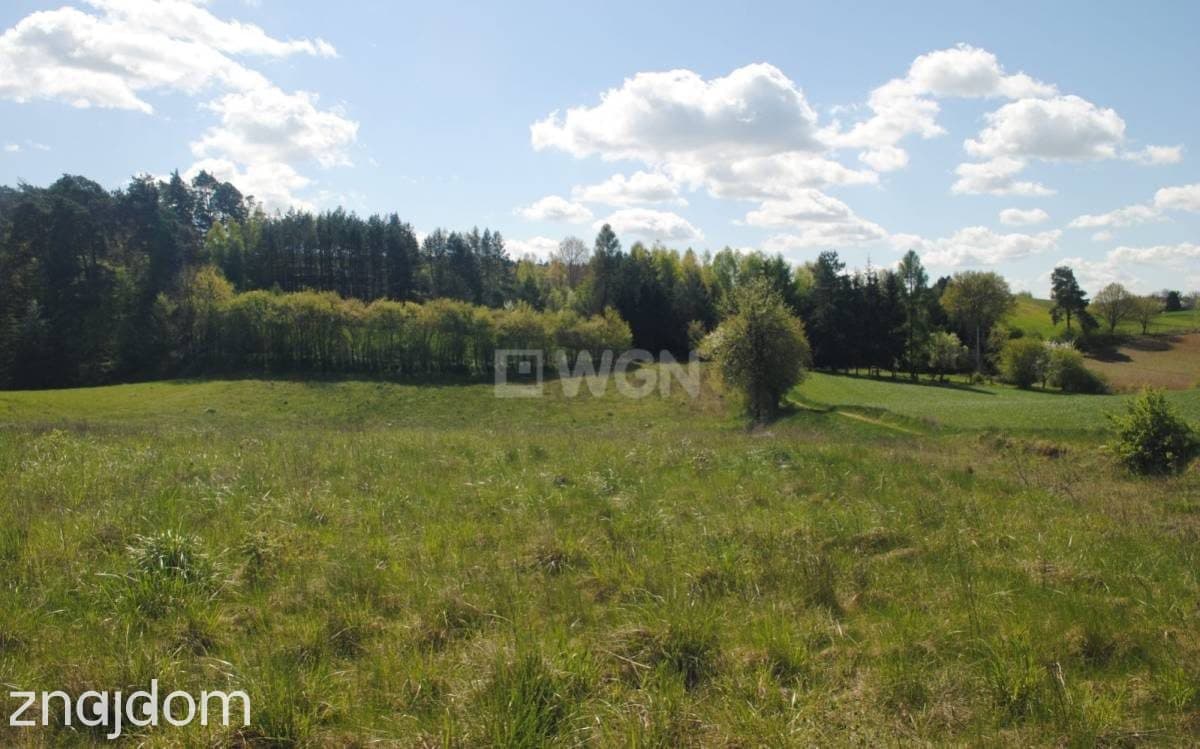 Działka na sprzedaż Gaj-Grzmięca - zdjęcie 2