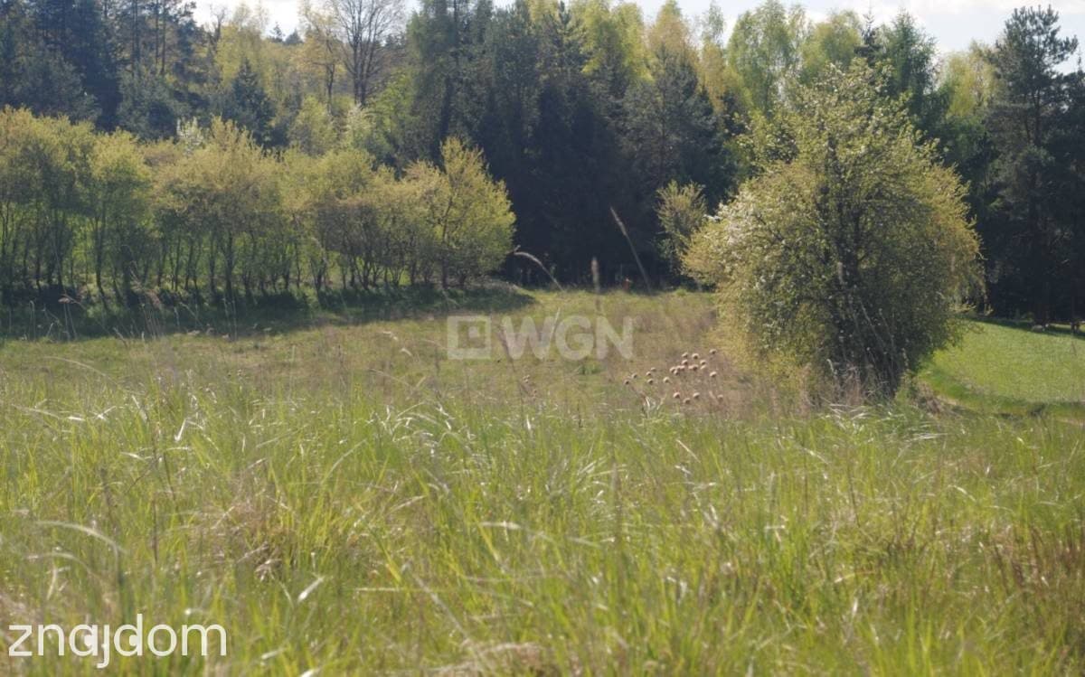 Działka na sprzedaż Gaj-Grzmięca - zdjęcie 6