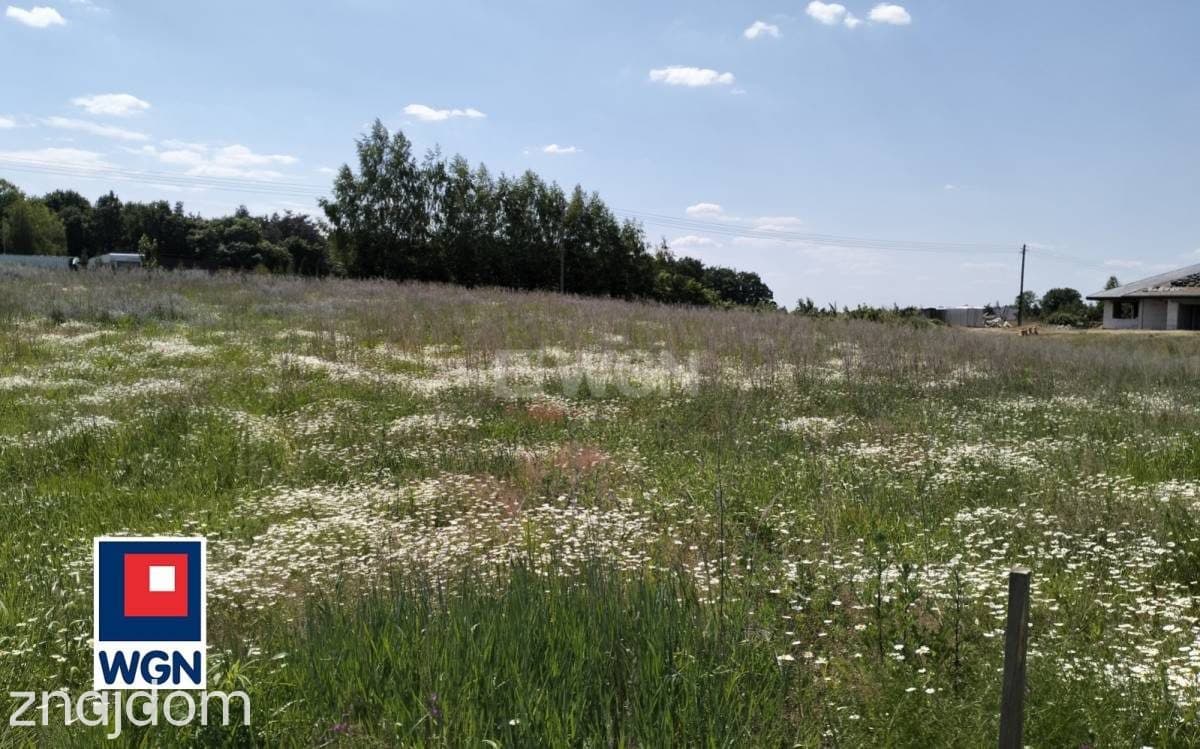Działka na sprzedaż Grzybno - zdjęcie 8