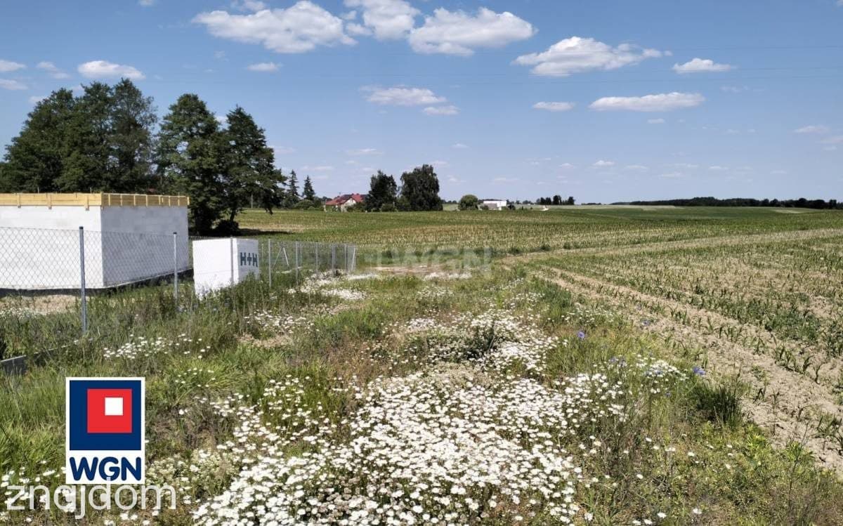 Działka na sprzedaż Grzybno - zdjęcie 5