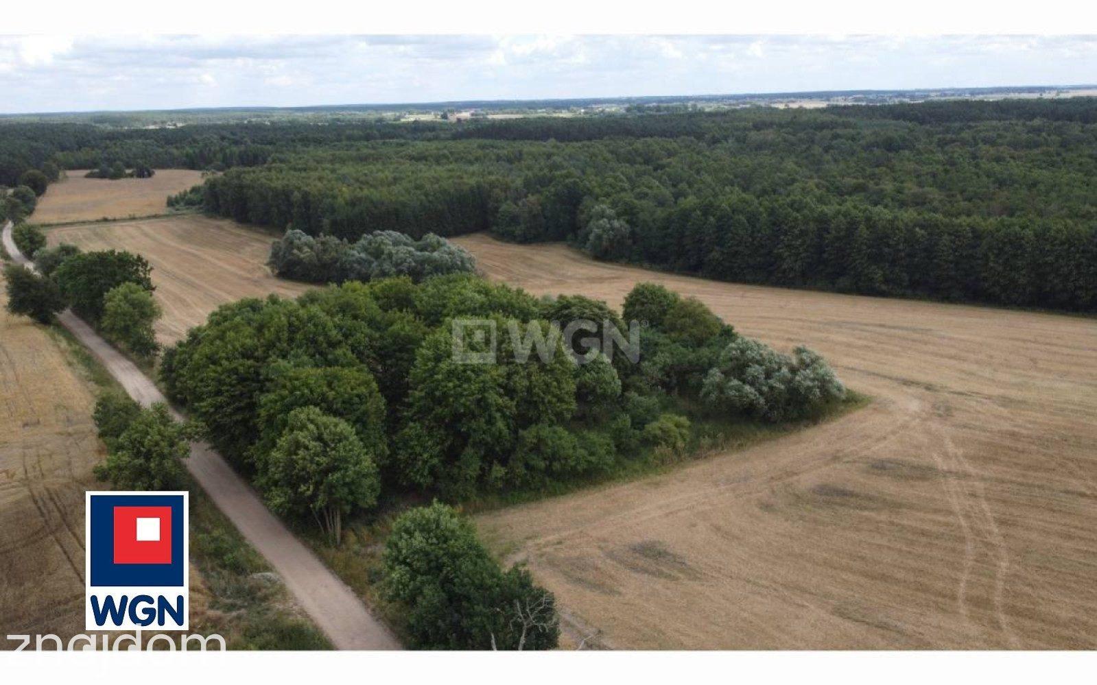 Działka na sprzedaż Konojady - zdjęcie 11