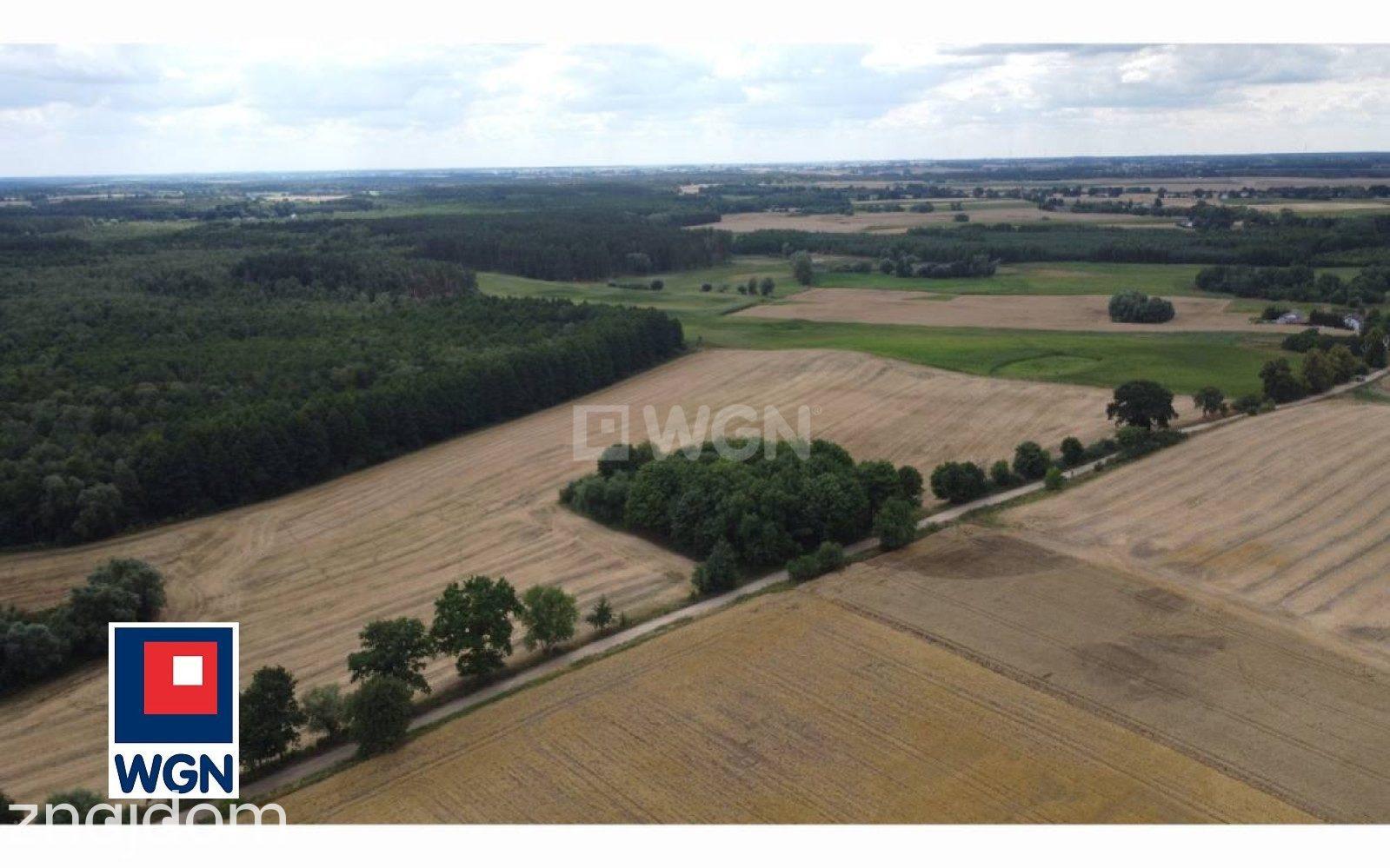 Działka na sprzedaż Konojady - zdjęcie 9