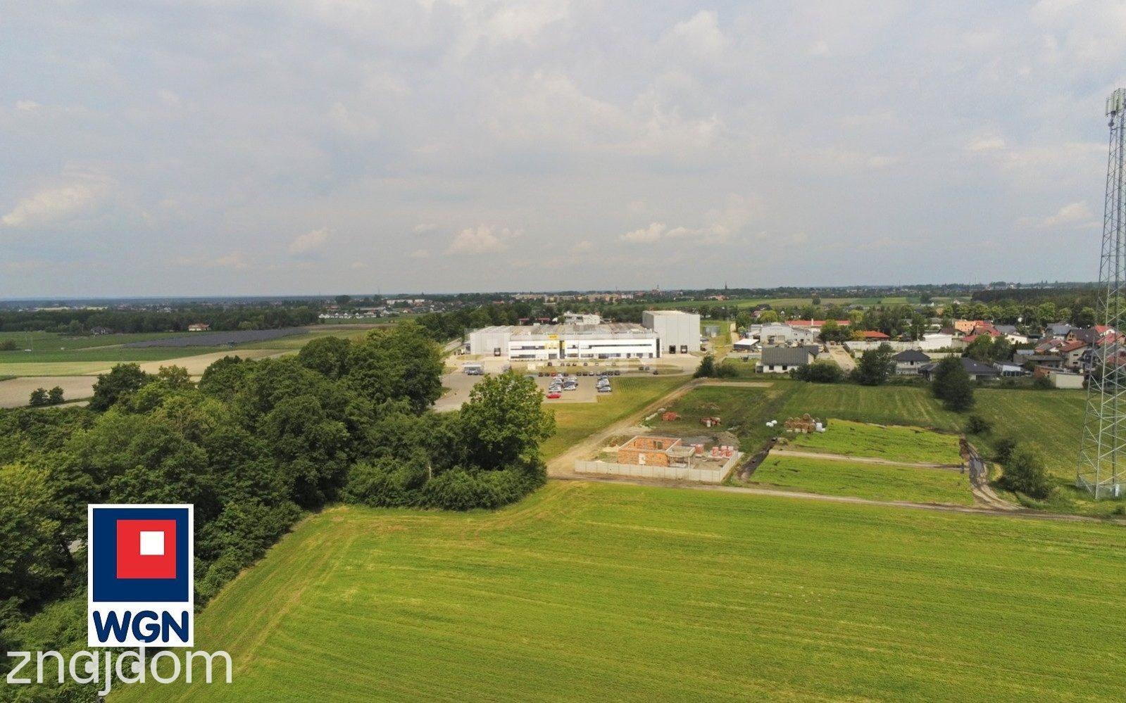 Grunt aktywizacja gospodarcza na sprzedaż Dębno Polskie - Grunt inwestycyjny 17714 m2 - zdjęcie 4