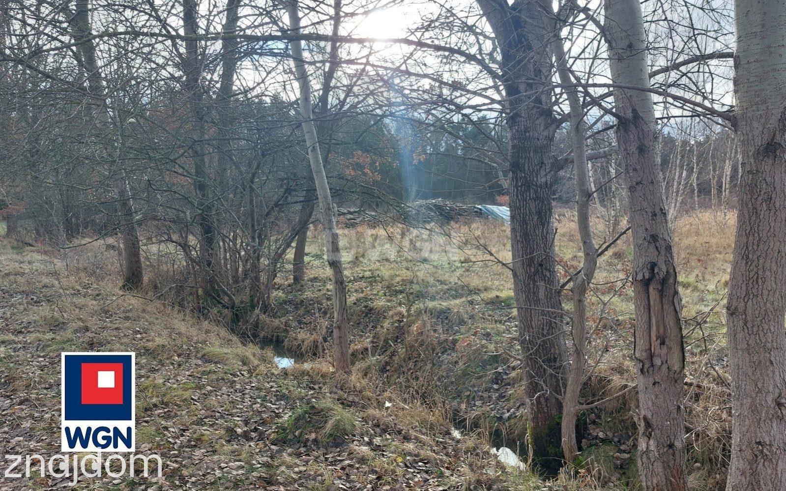 Działka na sprzedaż Gozdnica - zdjęcie 3