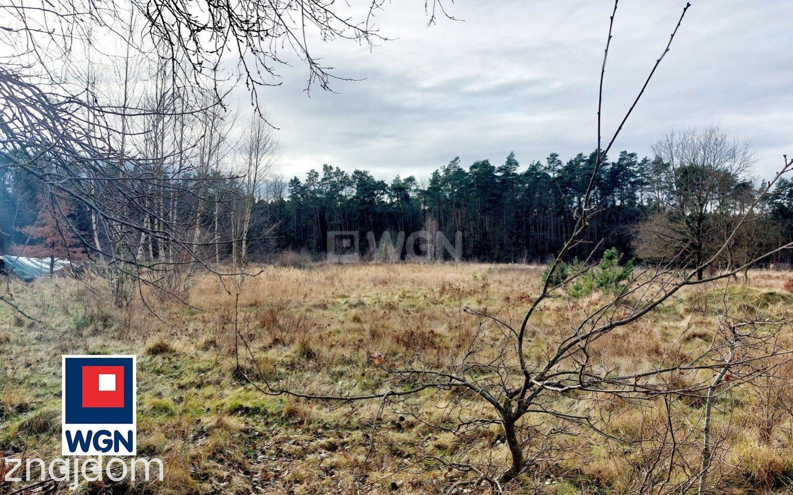 Działka na sprzedaż Gozdnica - zdjęcie 2