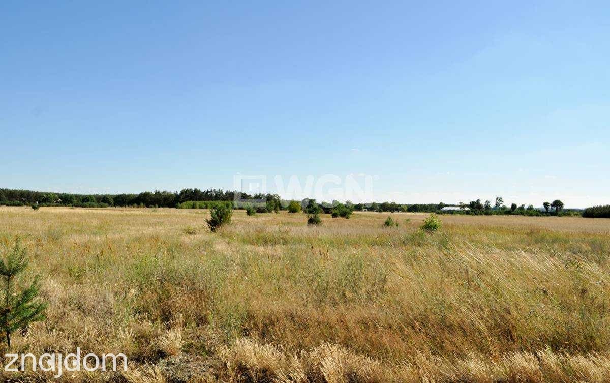 Działka na sprzedaż Wilków - zdjęcie 5