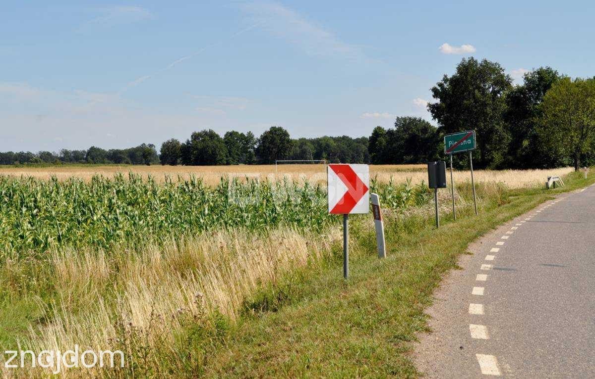Działka na sprzedaż Piersna - zdjęcie 5