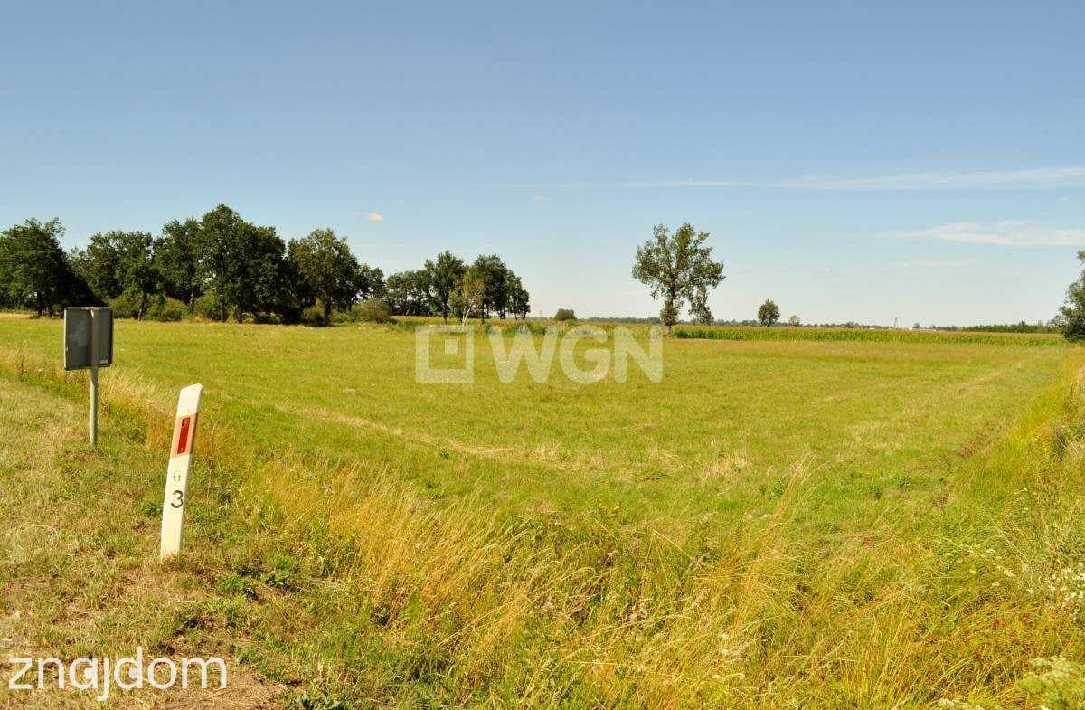 Działka na sprzedaż Piersna - zdjęcie 3