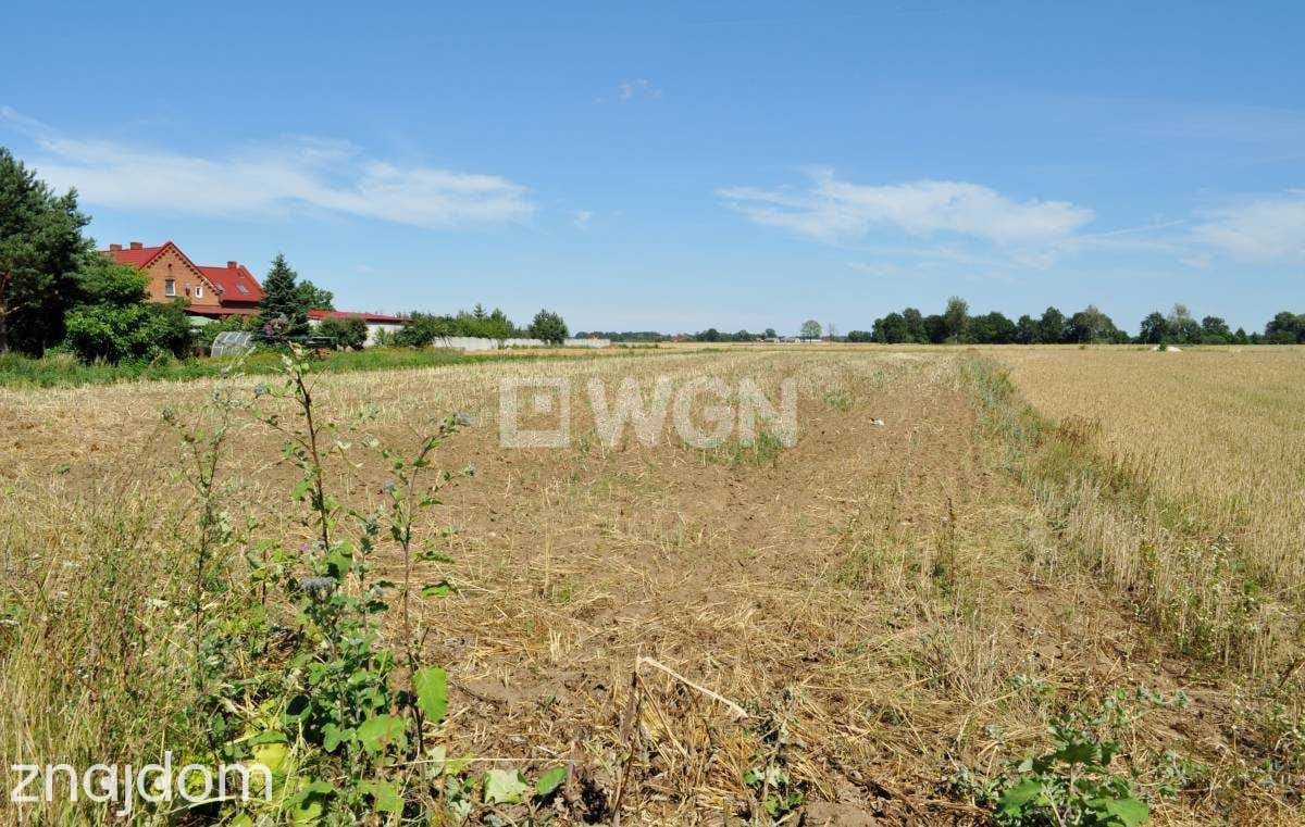 Działka na sprzedaż Piersna - zdjęcie 3