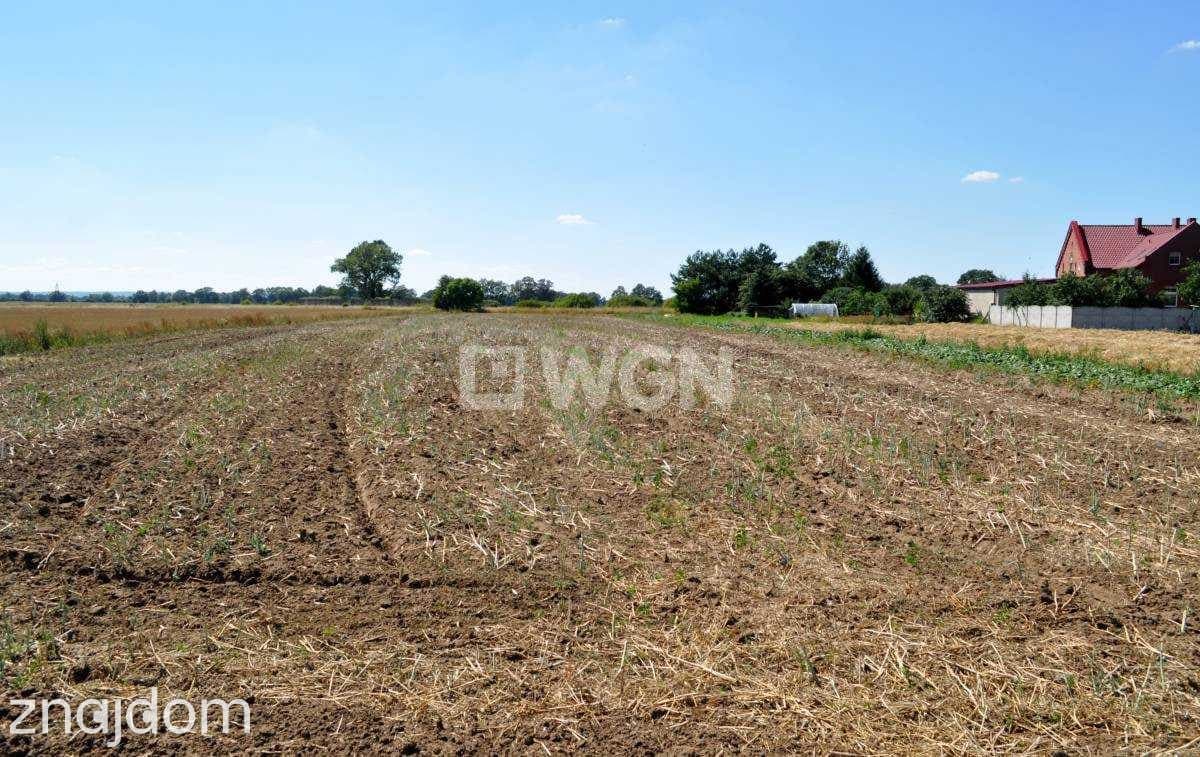 Działka na sprzedaż Piersna - zdjęcie 2