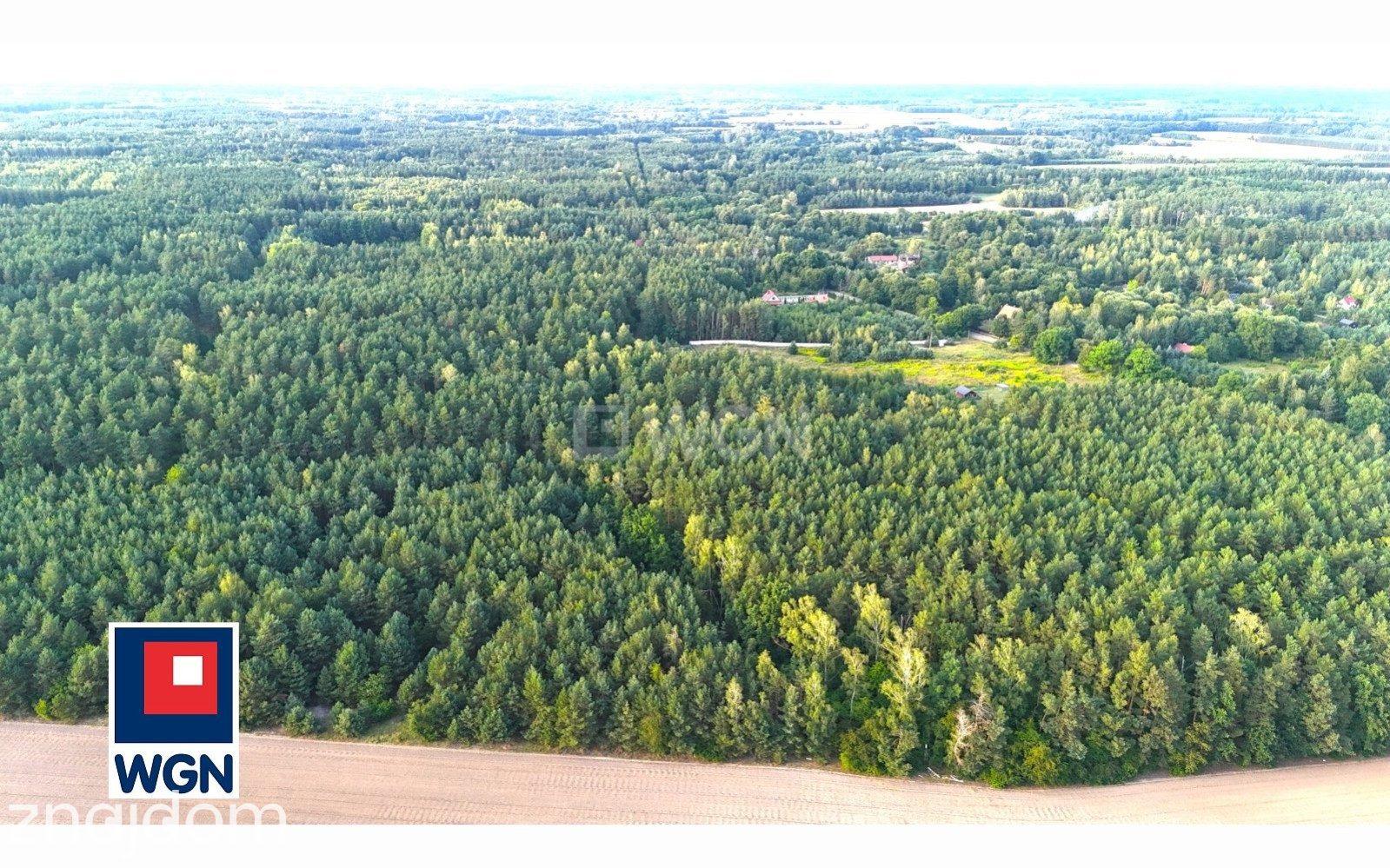 Działka na sprzedaż Grabie - zdjęcie 3