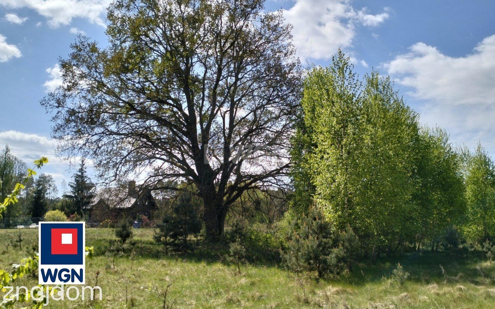 Dom na  sprzedaż Lamkowizna - Domek nad rzeką Drwęcą - zdjęcie 8