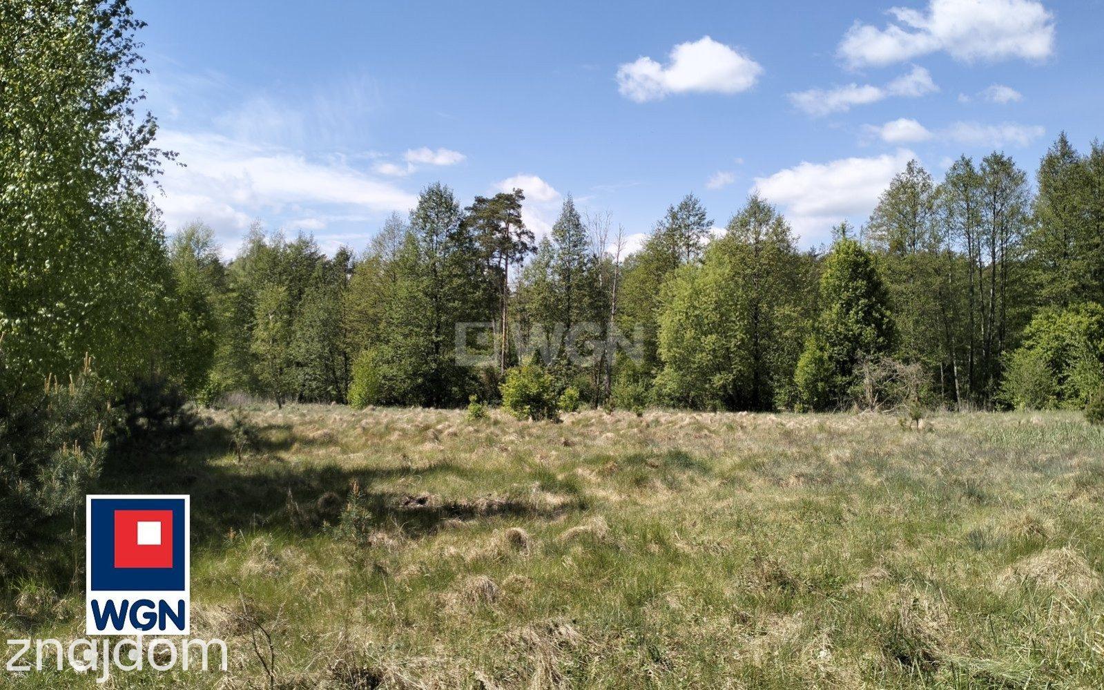 Dom na  sprzedaż Lamkowizna - Domek nad rzeką Drwęcą - zdjęcie 6
