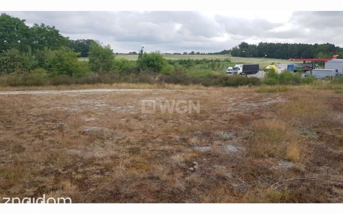 Działka na sprzedaż Drozdów - zdjęcie 2